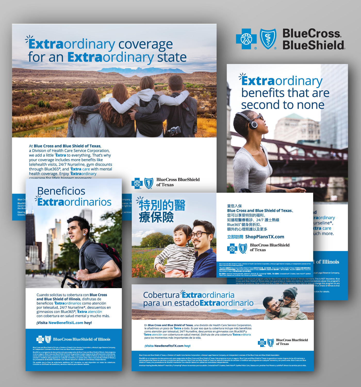Blue Cross Blue Shield
